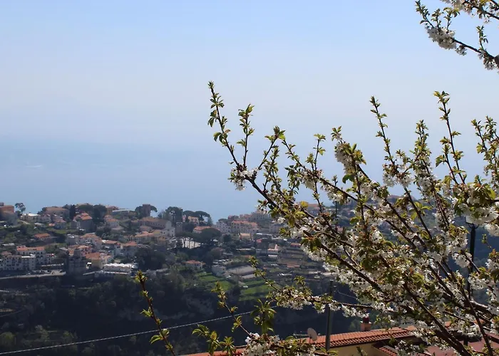 Tatil Evi Malu *